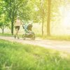 Ausflugsziele in der Steiermark für Familien mit Kinderwagen