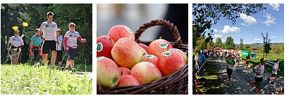 Copyright Bilder: Frutura