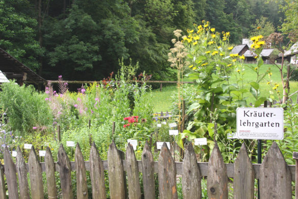 Ratgeber Steirershop – der Online Shop für alle Fans der Steiermark