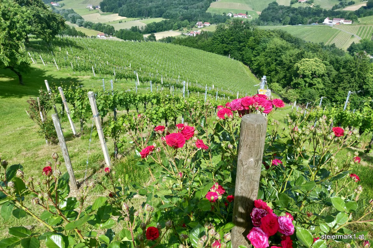 Buschenschänken in der Steiermark Die besten Buschenschank Adressen