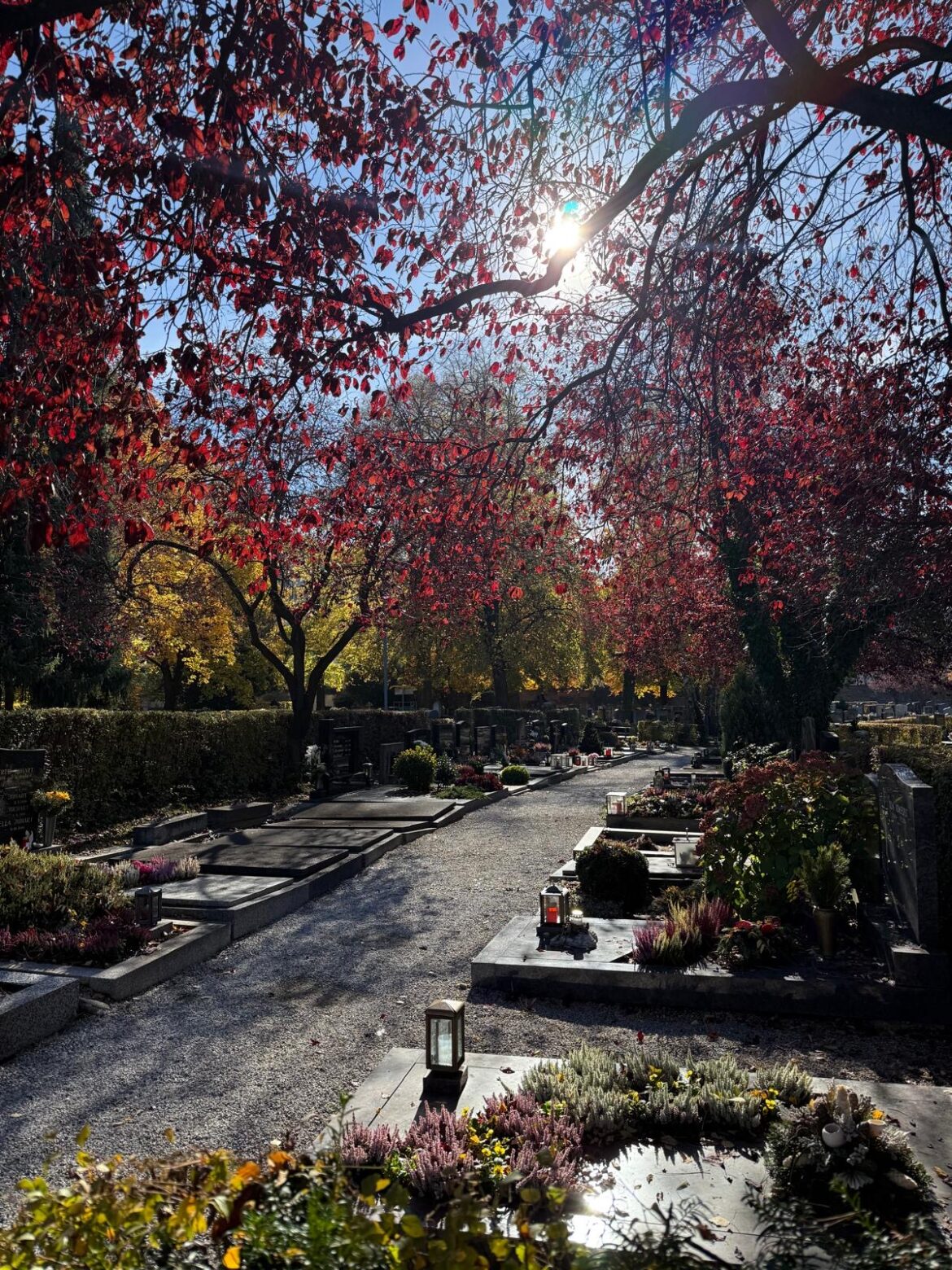 Zentralfriedhof Leoben rund um Allerheiligen