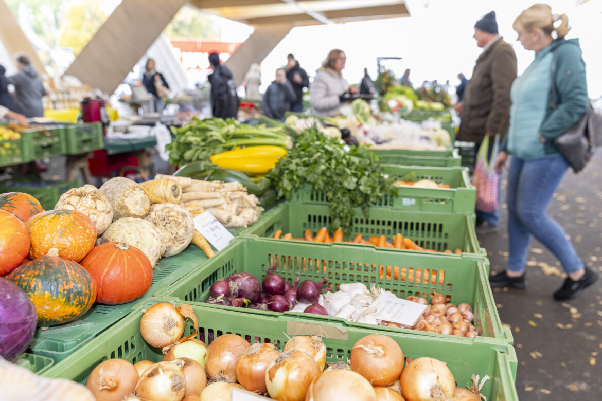 Eröffnung der neuen Markthalle am Grazer Hofbauerplatz