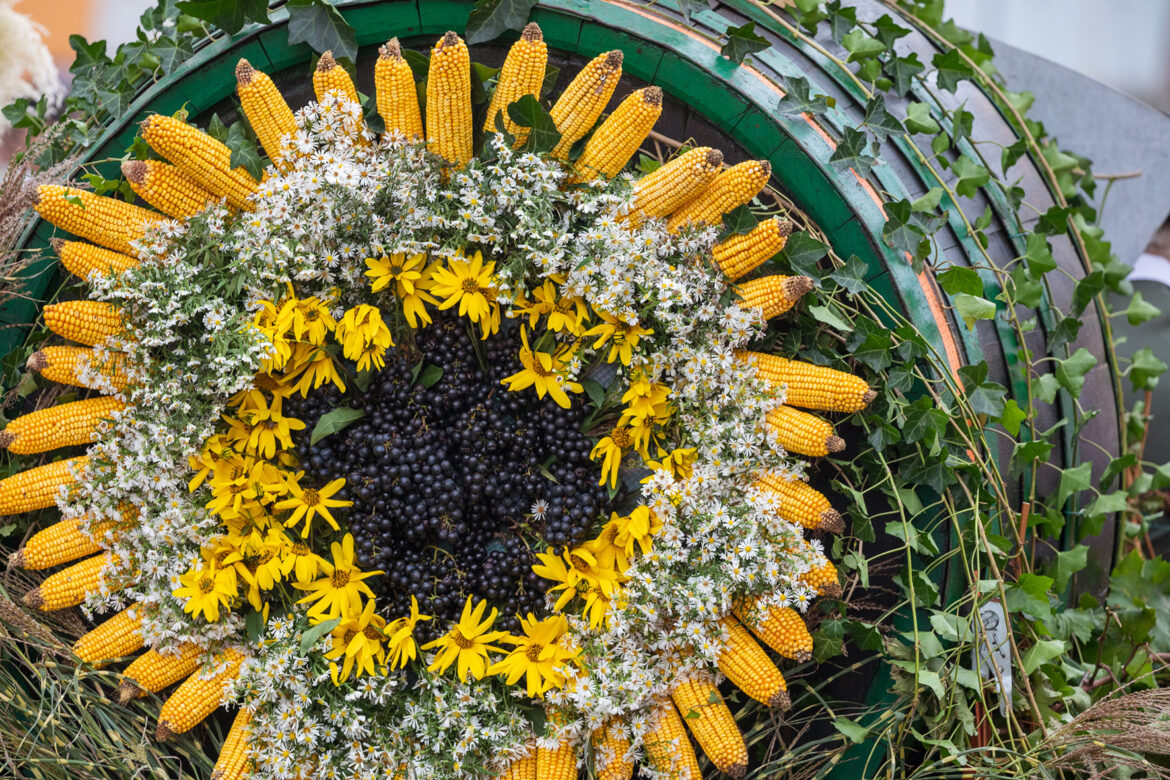 Ernteschmuck mit Maiskolben, Blumen und Weintrauben beim Gamlitzer Winzerzug.