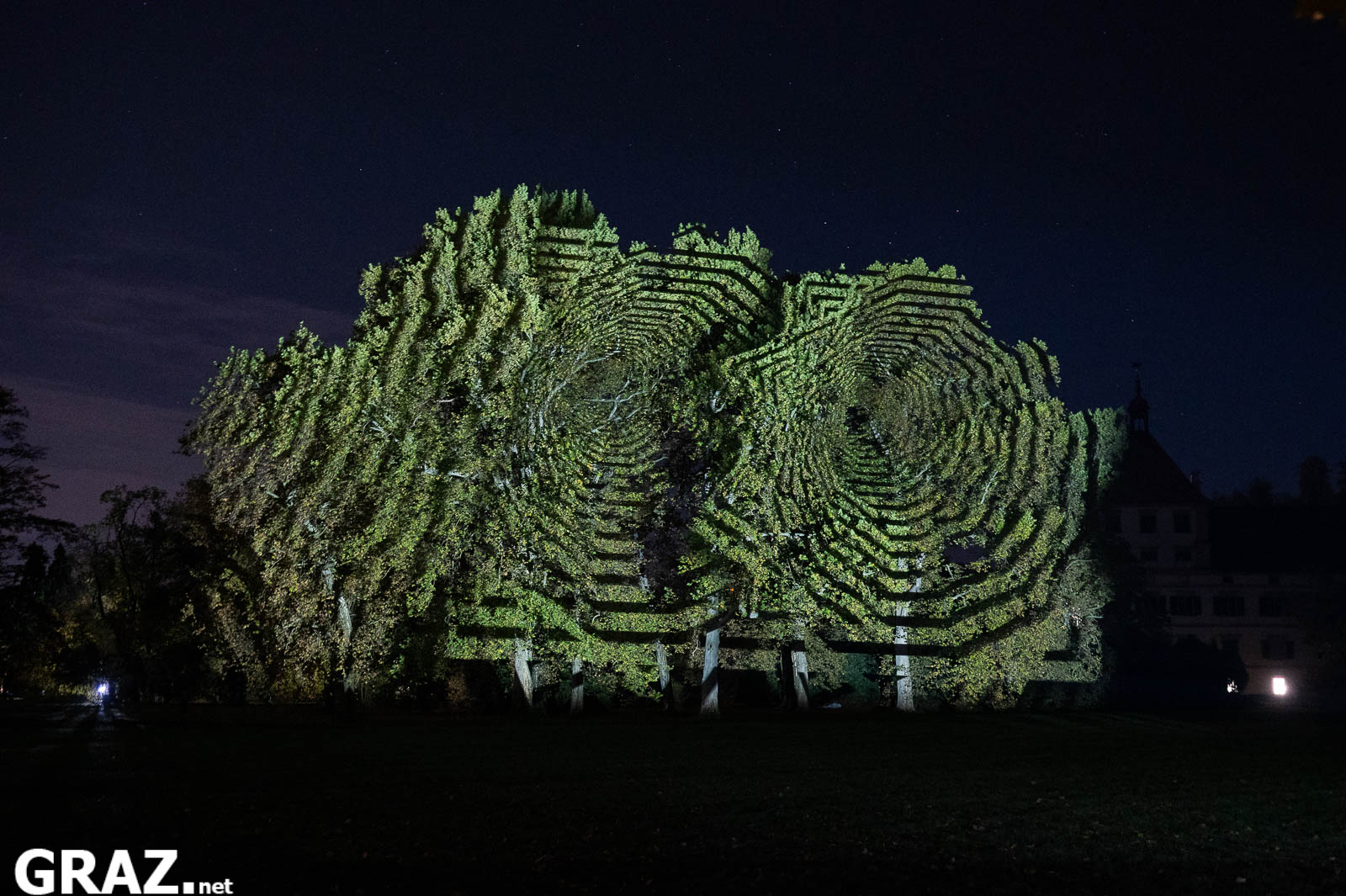 Kreisförmige Lichtmuster von Javier Rieras „Resonanzen der unsichtbaren Ordnung“ auf Baumkronen im Schlosspark Eggenberg.