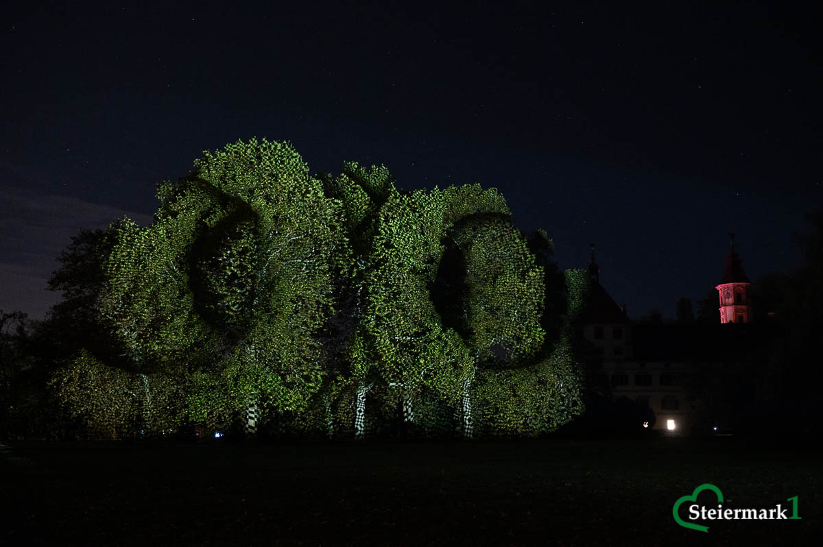 Geschwungene geometrische Lichtformen von „Resonanzen der unsichtbaren Ordnung“ von Javier Riera auf Bäumen im Schlosspark Eggenberg.